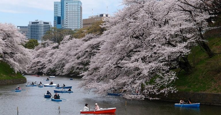 How To Apply For A Japan Tourist Visa In Dubai Dubai Ofw How To Apply For A Japan Tourist Visa In Dubai Dubai Ofw