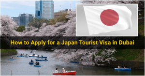 dubai to japan visit visa