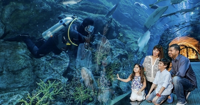 Dubai Aquarium and Underwater Zoo Voted as Best in the World – Survey