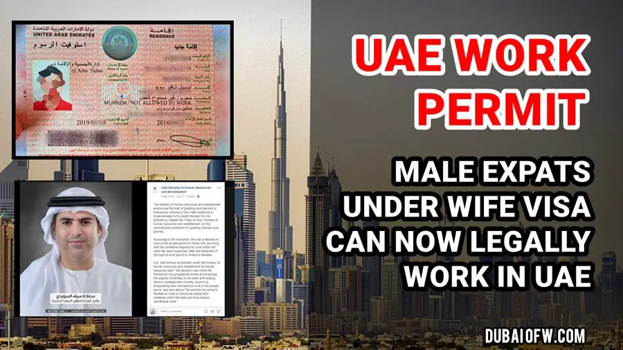 uae work permit male expats