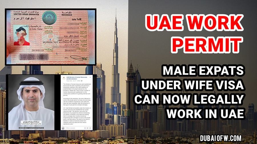 uae work permit male expats