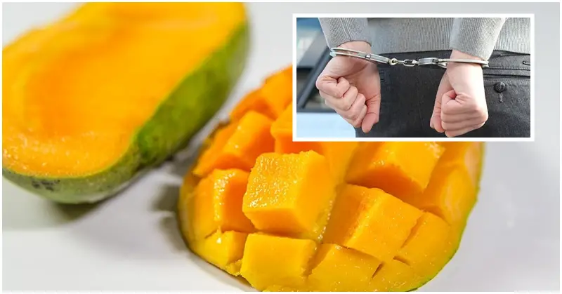Man Fined AED 5K for Stealing 2 Mangoes at Airport