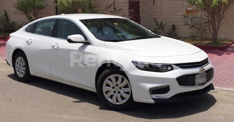 economy car white chevrolet malibu uae rent