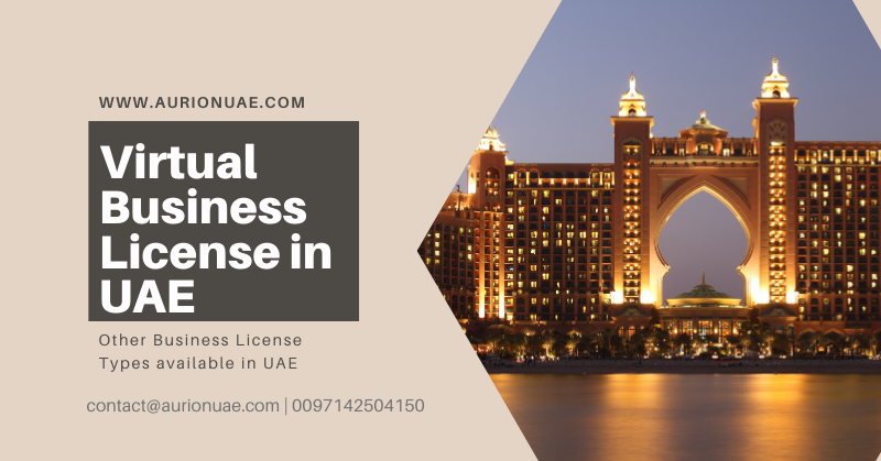 Virtual Business License