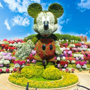 dubai miracle garden