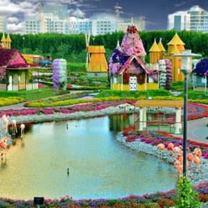 dubai miracle garden