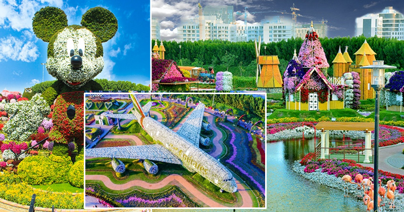 dubai miracle garden