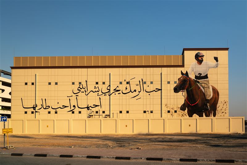 PHOTOS Check Out These Colourful Murals of the 'Dubai Street Museum'