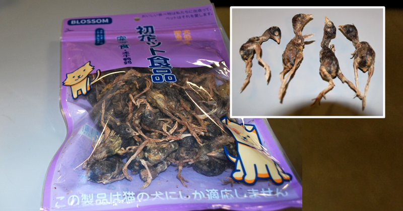 Package of Tiny Dead Birds from China Seized at Airport