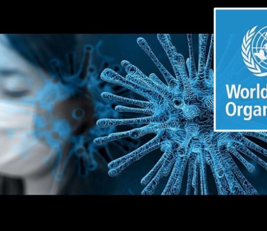VIRUS UPDATE World must Prepare for Potential Pandemic - WHO