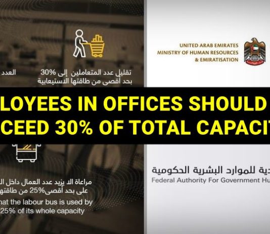 uae public private workforce 30 percent only