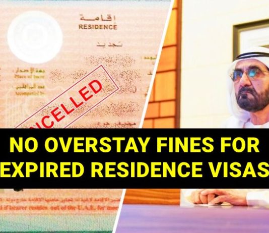 uae expired residence visas no fines