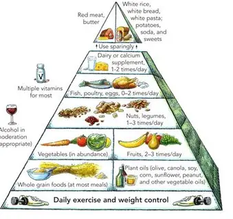 diet pyramid