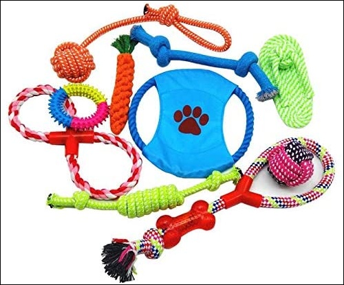 dog toys