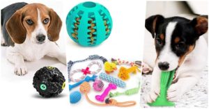 dog toys