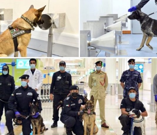 uae police dogs trained to detect virus