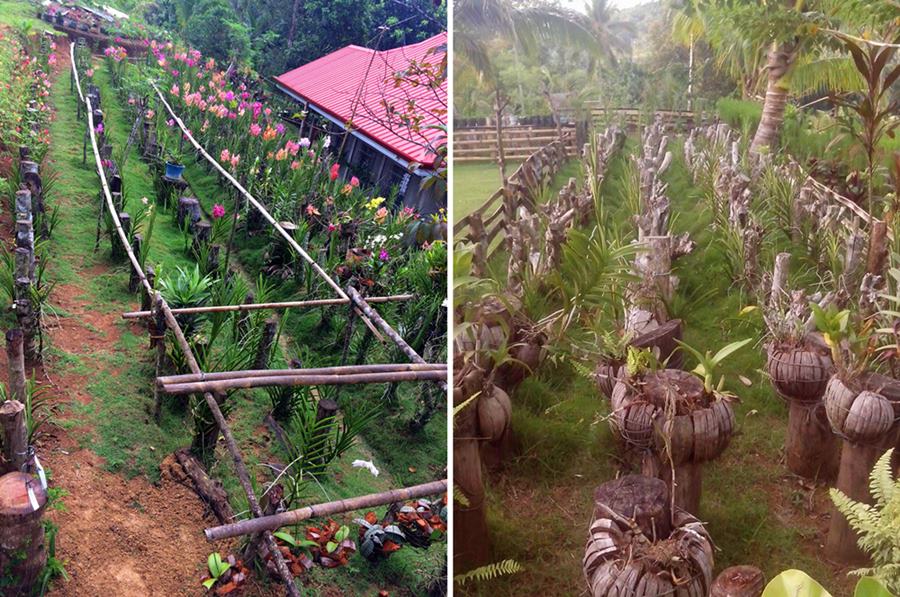 housemaid builds flower garden