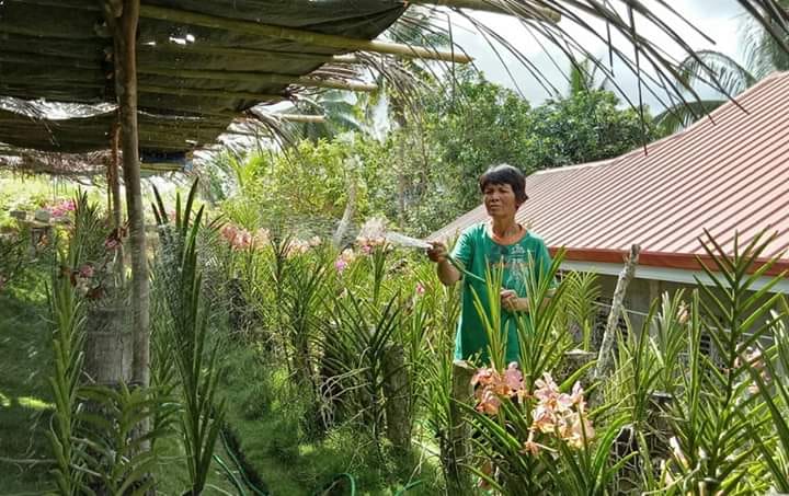 housemaid nanny dubai builds house for mother