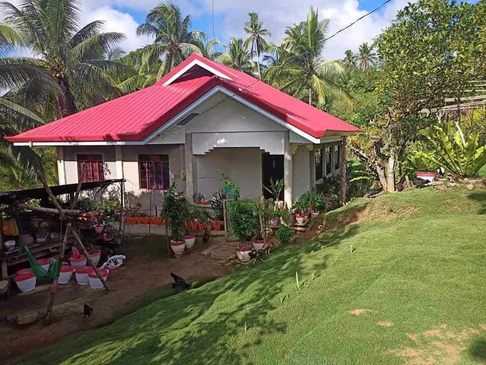 nanny builds 4 bedroom house