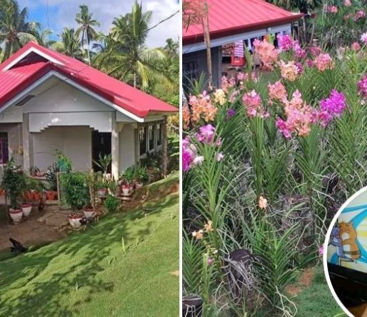 ofw in dubai housemaid builds house and flower business