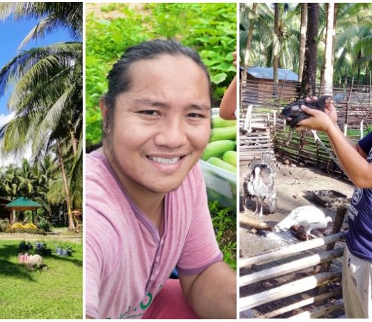 Former OFW in UAE Becomes Agripreneur, Now Making Over 100K a Month