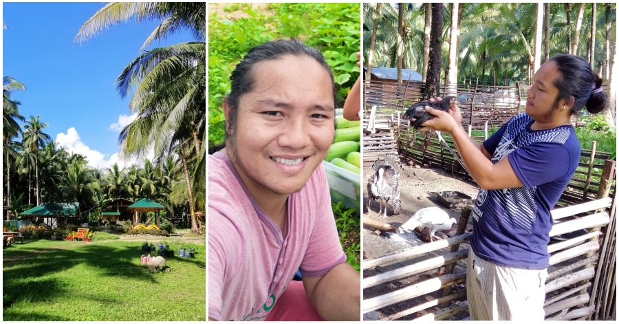 Former OFW in UAE Becomes Agripreneur, Now Making Over 100K a Month