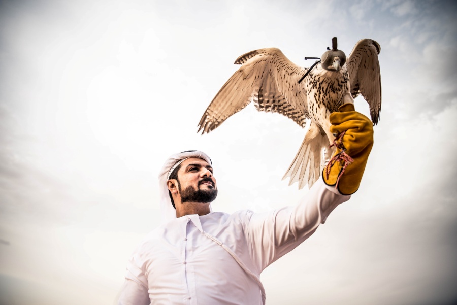 Popular Traditional Sports in the UAE