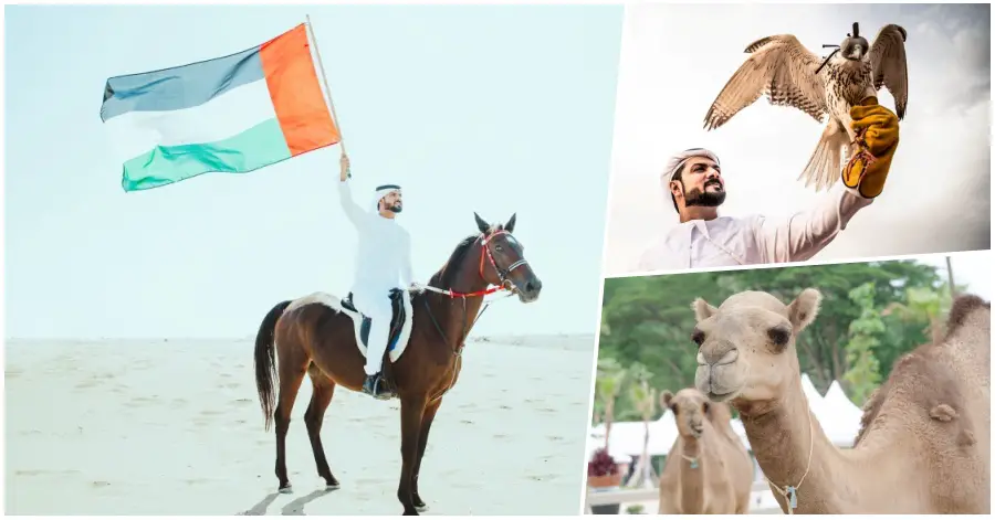 Popular Traditional Sports in the UAE