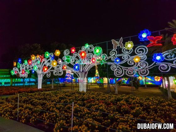 39 PHOTOS: Dubai Garden Glow in Zabeel Park | Dubai OFW