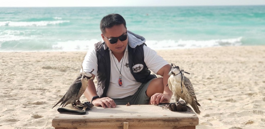 ofw interview falconer