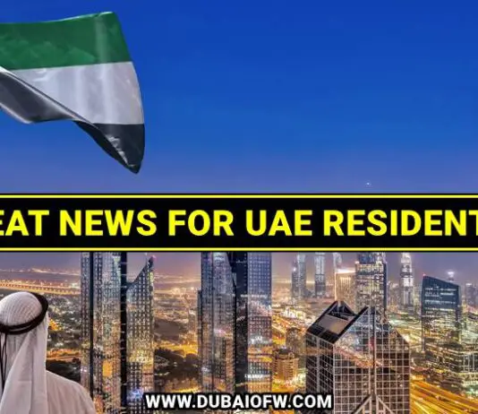 uae new projects visa reform