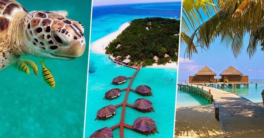 reasons why you should travel from dubai to maldives