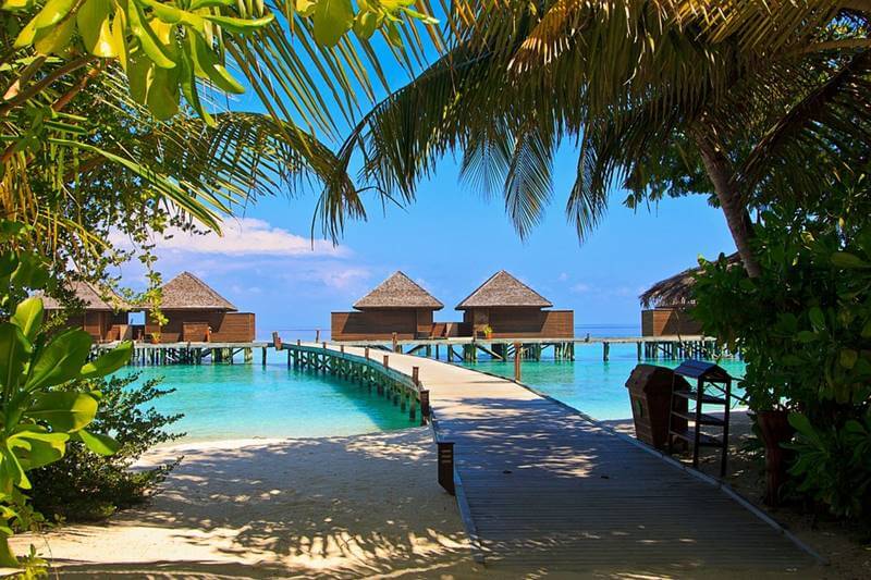 why visit maldives