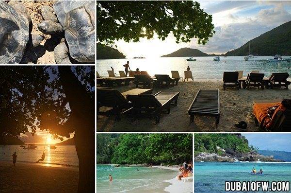 seychelles-travel-destination