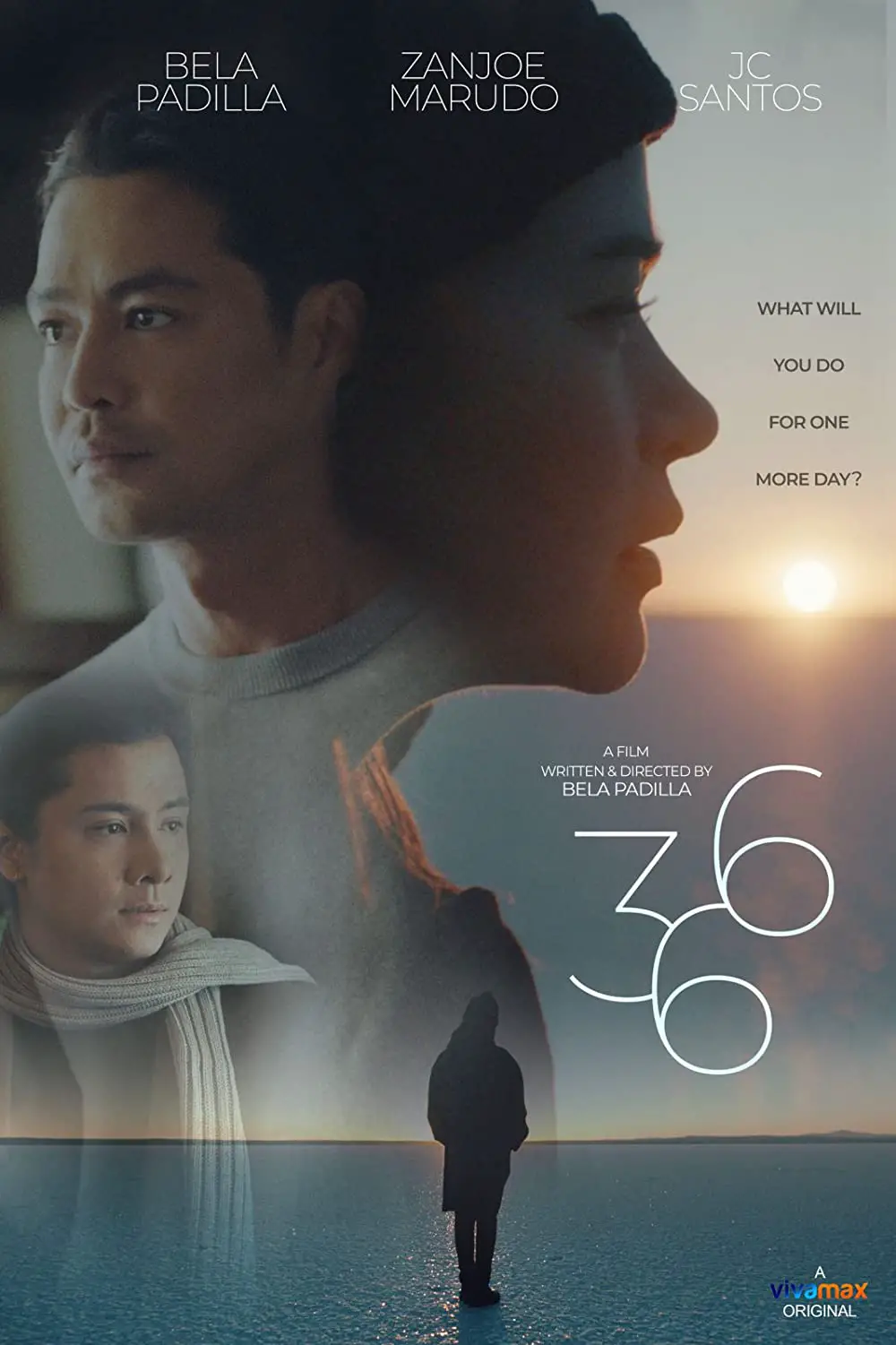 366 film poster