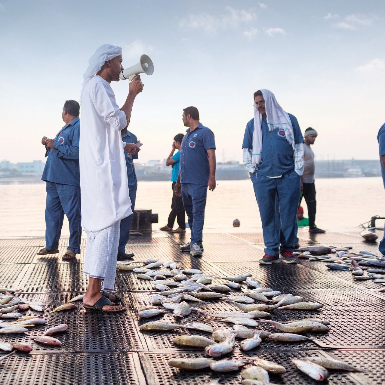 Ajman Fish Market