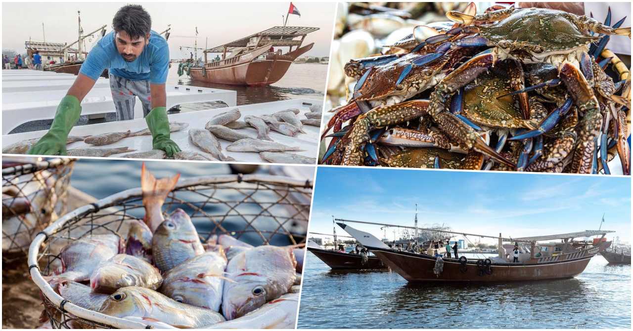 Ajman Fish Market