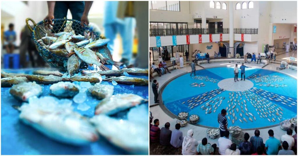 Sharjah Fish Market Dubai OFW