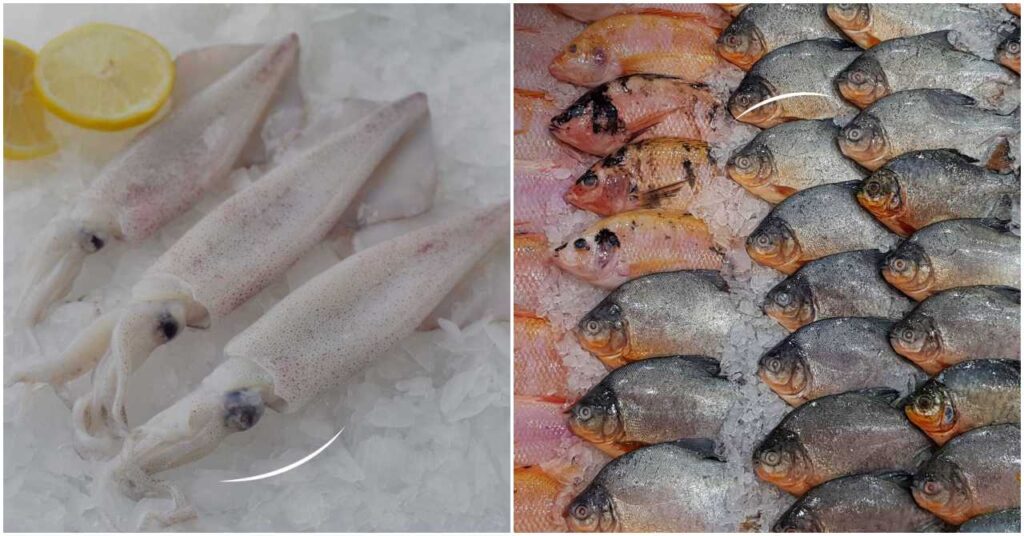 Sharjah Fish Market Dubai OFW