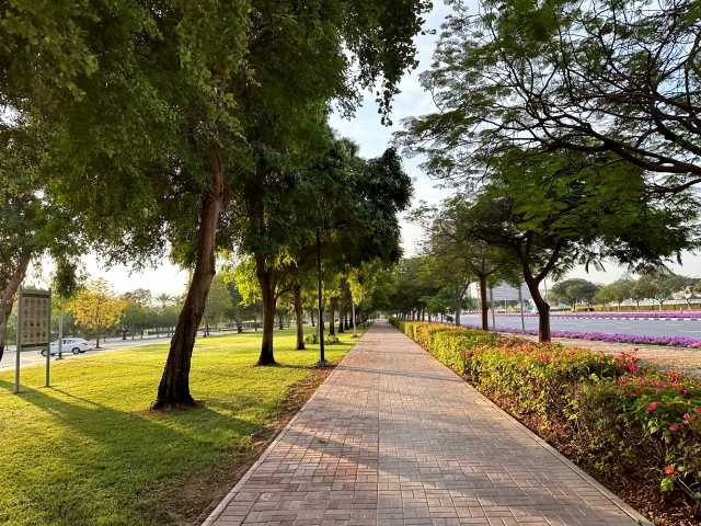 visit park dubai