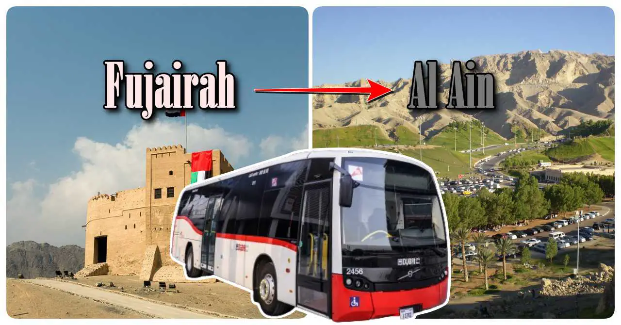 Fujairah to Al Ain bus timings