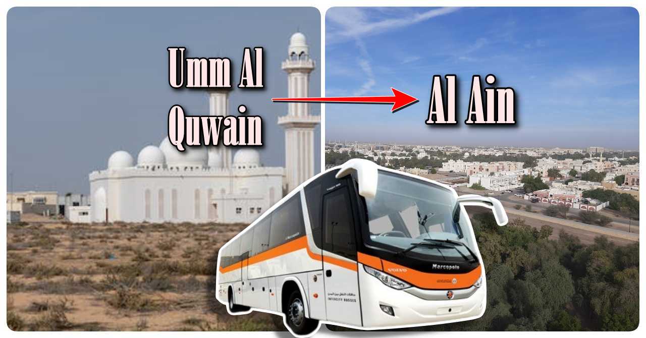 Umm Al Quwain to Al Ain bus timings