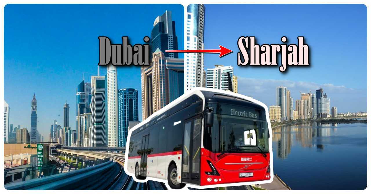 Dubai to Sharjah Bus Timings