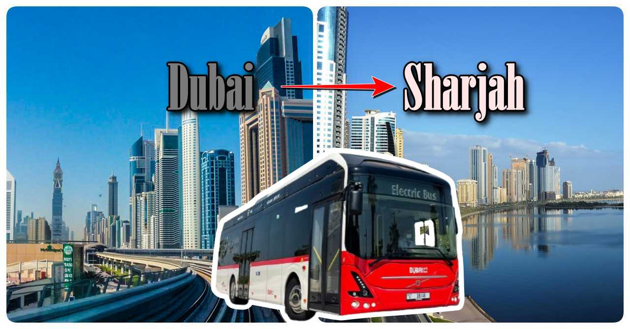 Dubai To Sharjah Bus Timings Dubai OFW