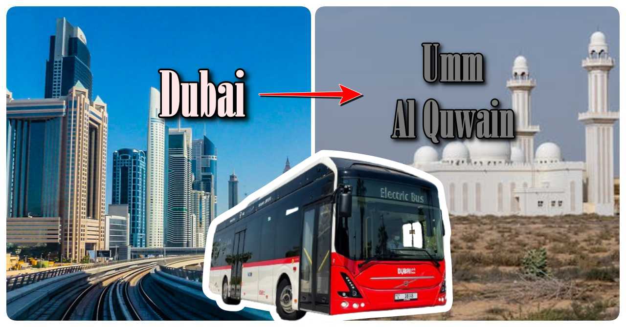 dubai to umm al quwain bus timings