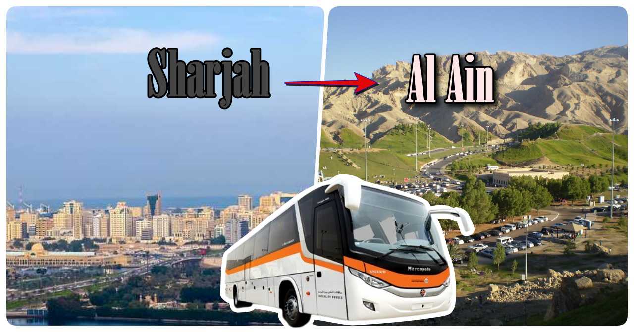 Sharjah to Al Ain bus timings