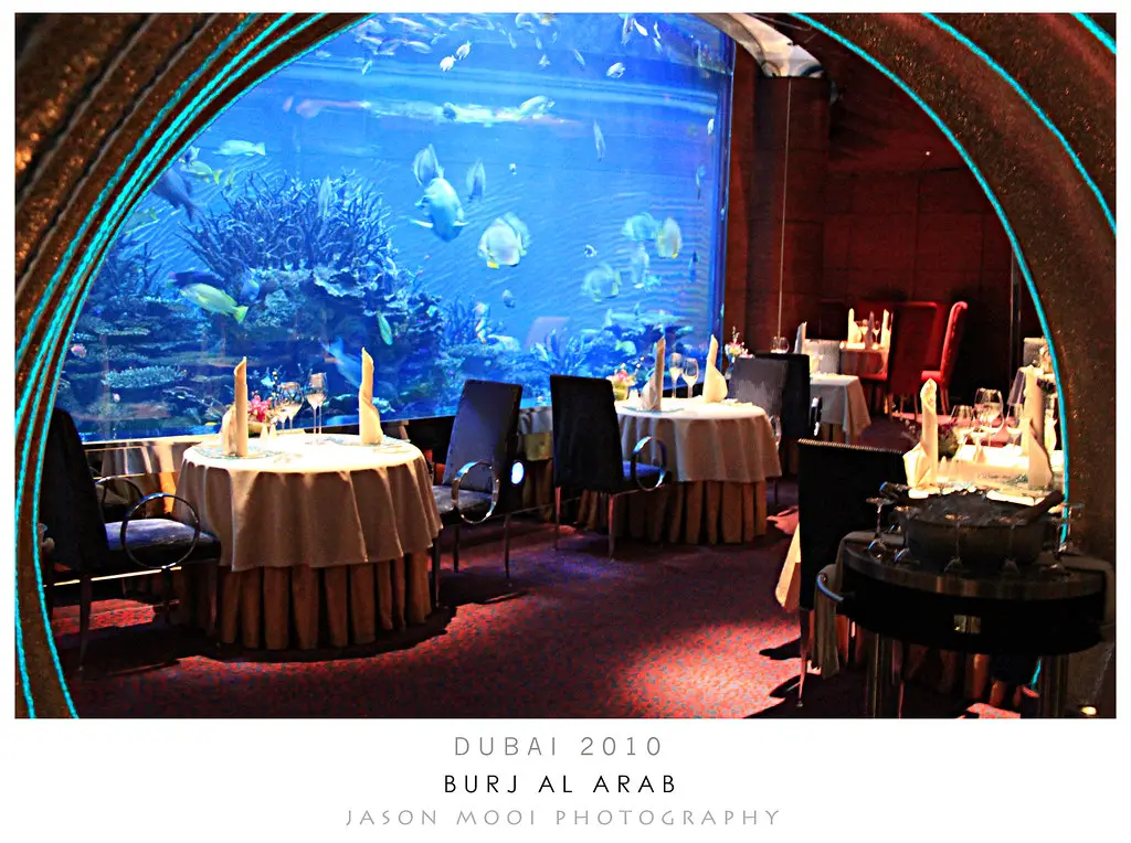 Best Underwater Restaurants in Dubai