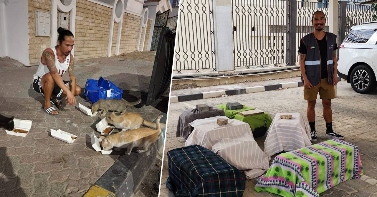 jonathan sibol filipino in abu dhabi rescue and feed stray cats