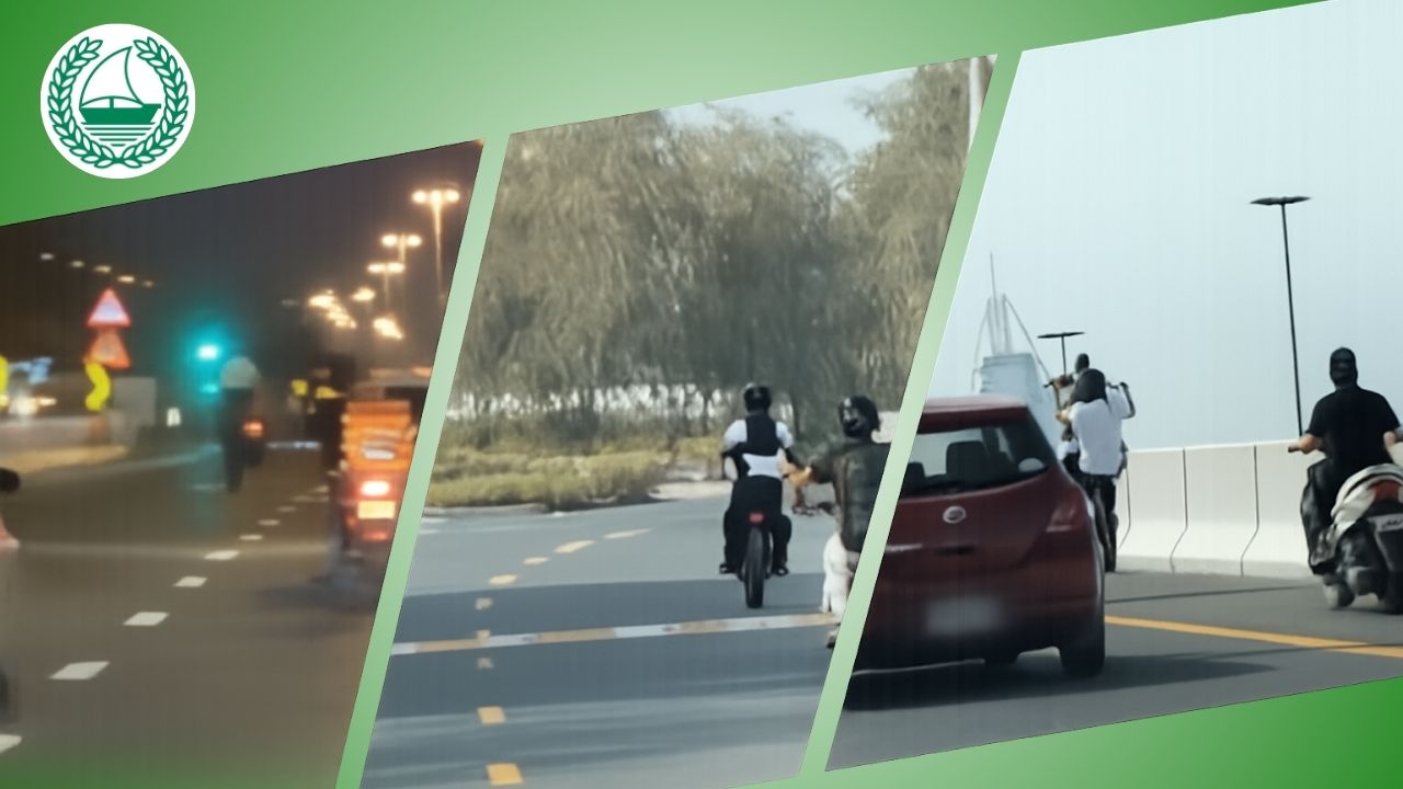 From Viral Stunts to Legal Trouble Riders Face Consequences